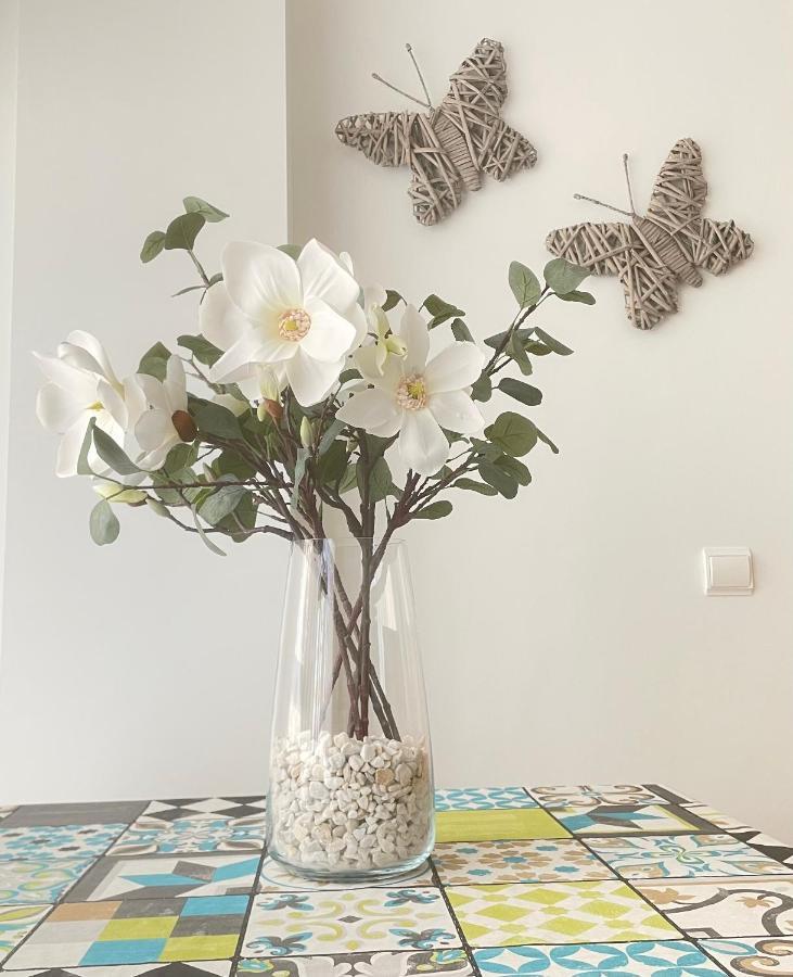 Apartamento Pinares Apartment Soria Luaran gambar